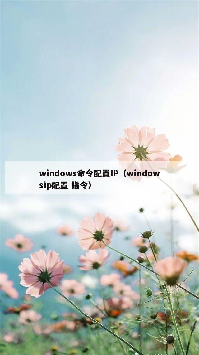 windows命令配置IP（windowsip配置 指令）