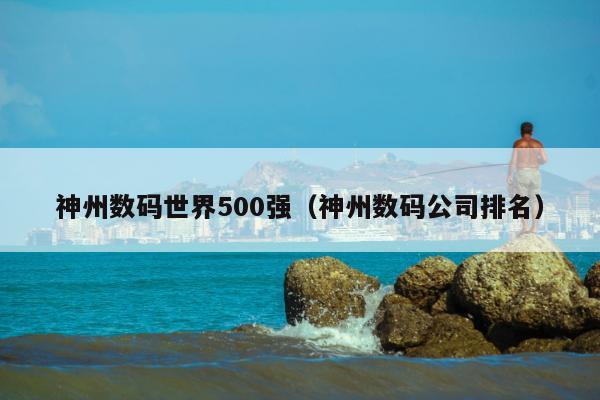 神州数码世界500强（神州数码公司排名）