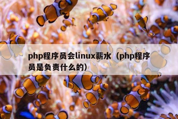 php程序员会linux薪水（php程序员是负责什么的）