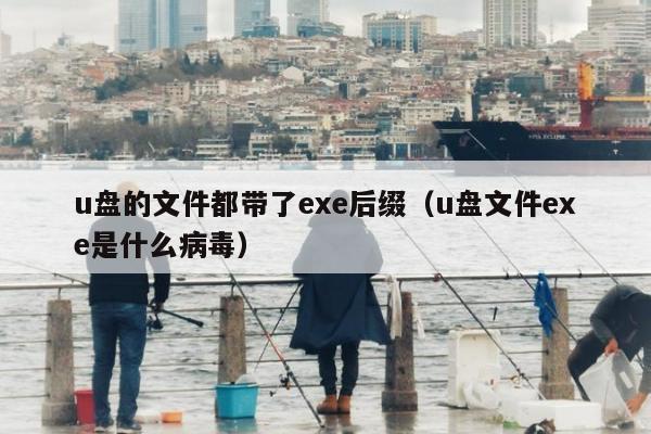 u盘的文件都带了exe后缀（u盘文件exe是什么病毒）