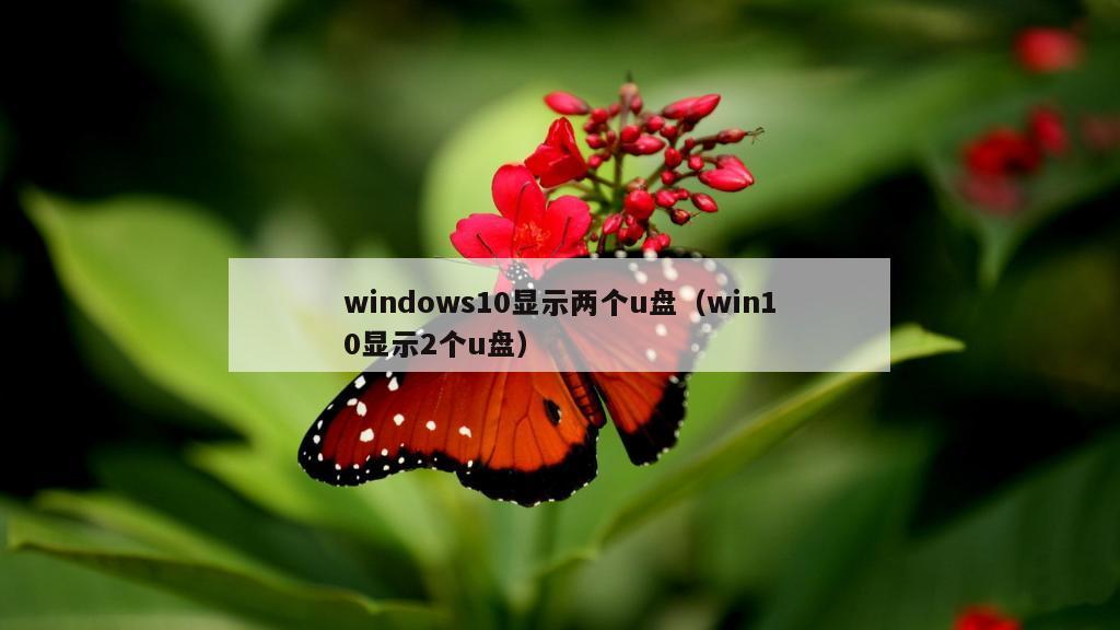 windows10显示两个u盘（win10显示2个u盘）