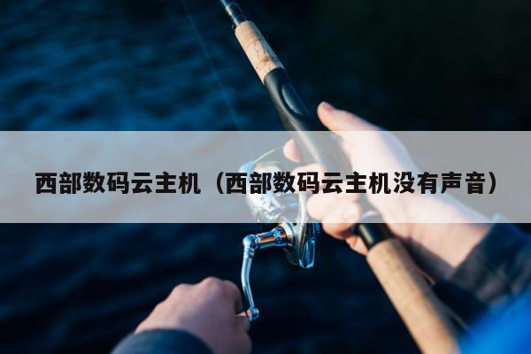 西部数码云主机（西部数码云主机没有声音）