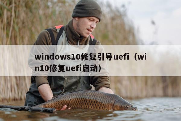 windows10修复引导uefi（win10修复uefi启动）