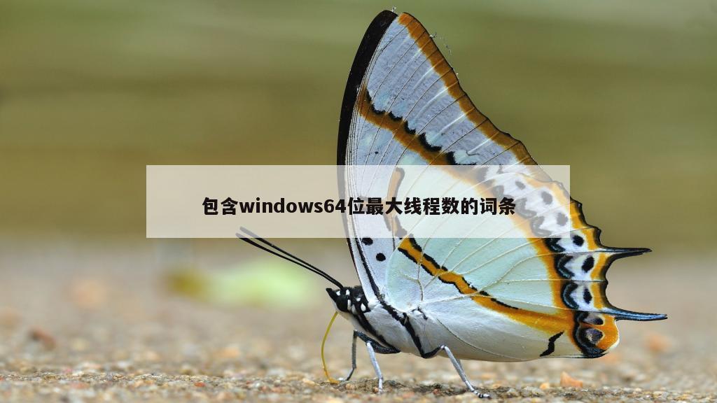 包含windows64位最大线程数的词条