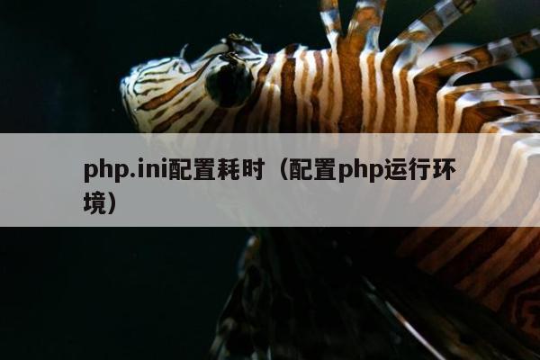 php.ini配置耗时（配置php运行环境）