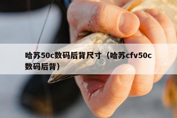 哈苏50c数码后背尺寸（哈苏cfv50c数码后背）