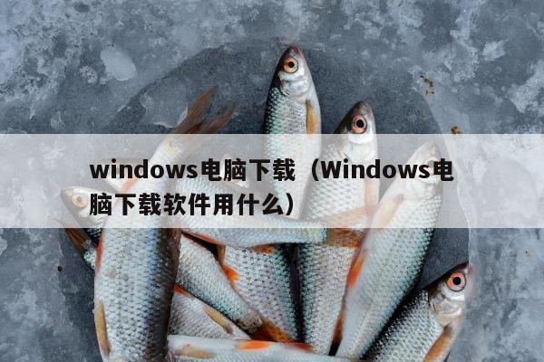 windows电脑下载（Windows电脑下载软件用什么）