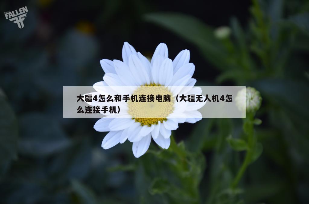 大疆4怎么和手机连接电脑（大疆无人机4怎么连接手机）