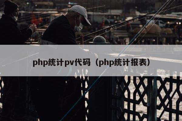 php统计pv代码（php统计报表）