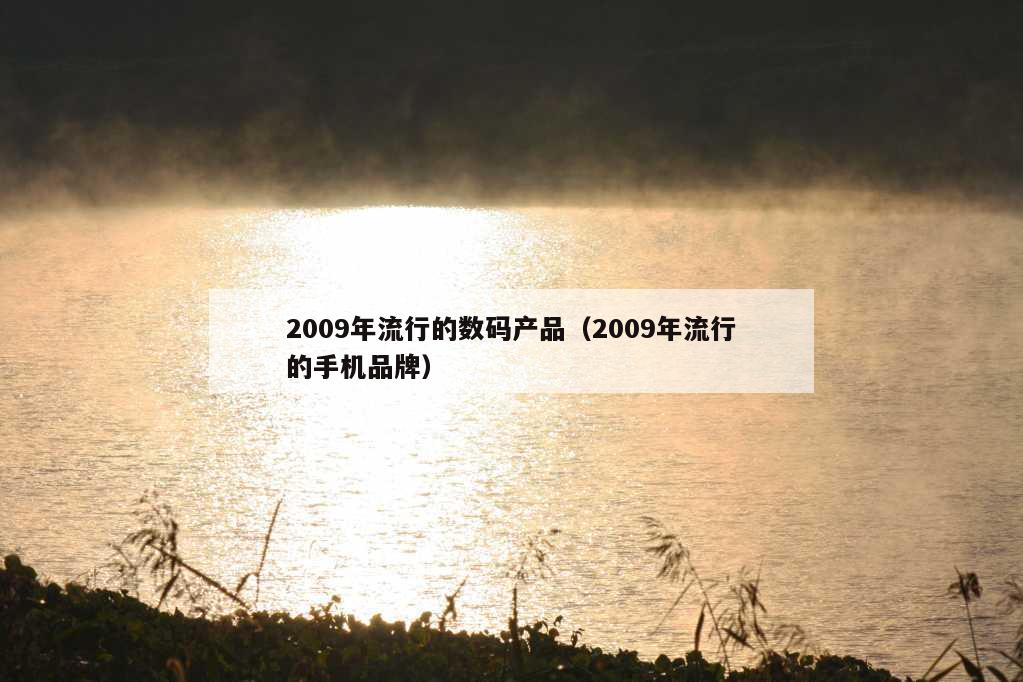 2009年流行的数码产品（2009年流行的手机品牌）