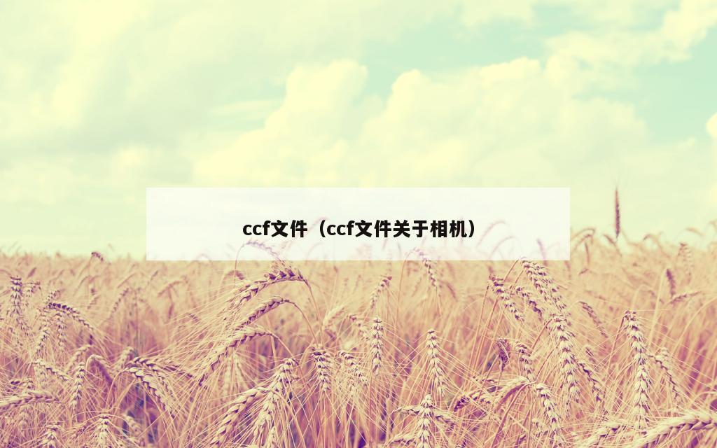 ccf文件（ccf文件关于相机）