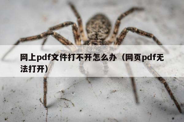 网上pdf文件打不开怎么办（网页pdf无法打开）