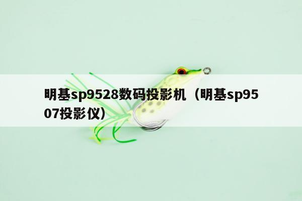 明基sp9528数码投影机（明基sp9507投影仪）