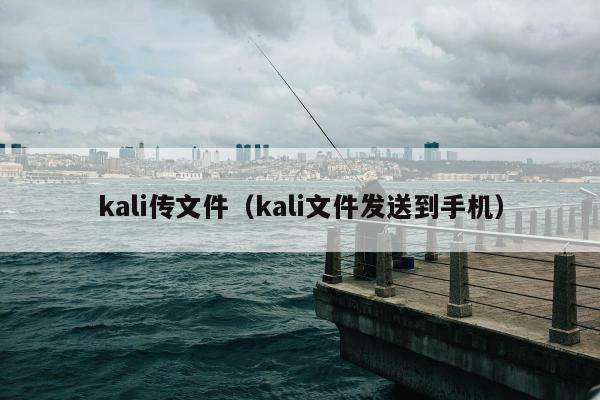 kali传文件（kali文件发送到手机）