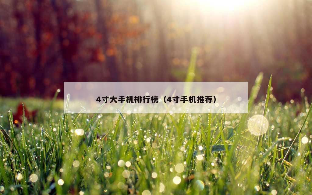 4寸大手机排行榜（4寸手机推荐）