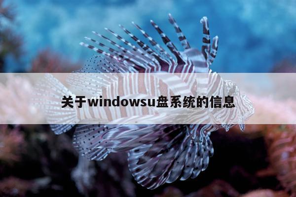 关于windowsu盘系统的信息