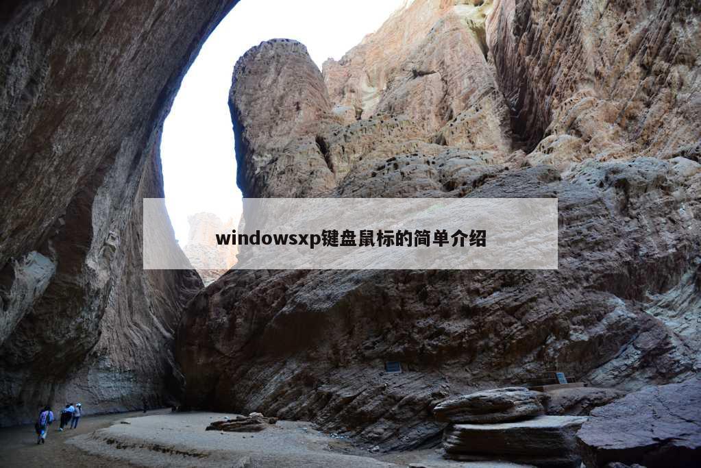 windowsxp键盘鼠标的简单介绍