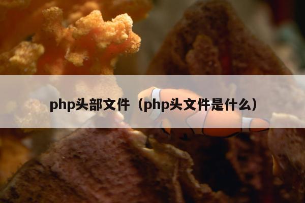 php头部文件（php头文件是什么）