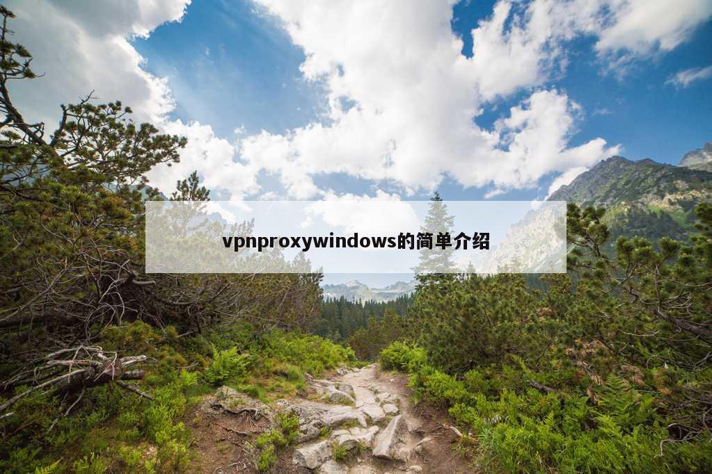 vpnproxywindows的简单介绍