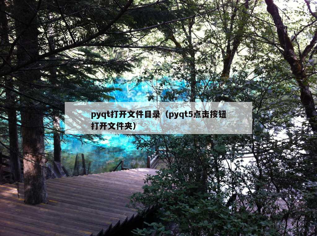 pyqt打开文件目录（pyqt5点击按钮打开文件夹）