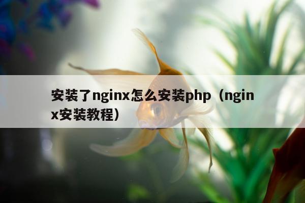 安装了nginx怎么安装php（nginx安装教程）