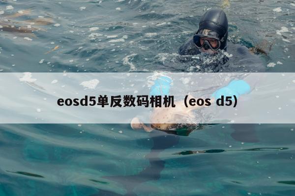 eosd5单反数码相机（eos d5）