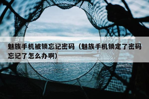 魅族手机被锁忘记密码（魅族手机锁定了密码忘记了怎么办啊）