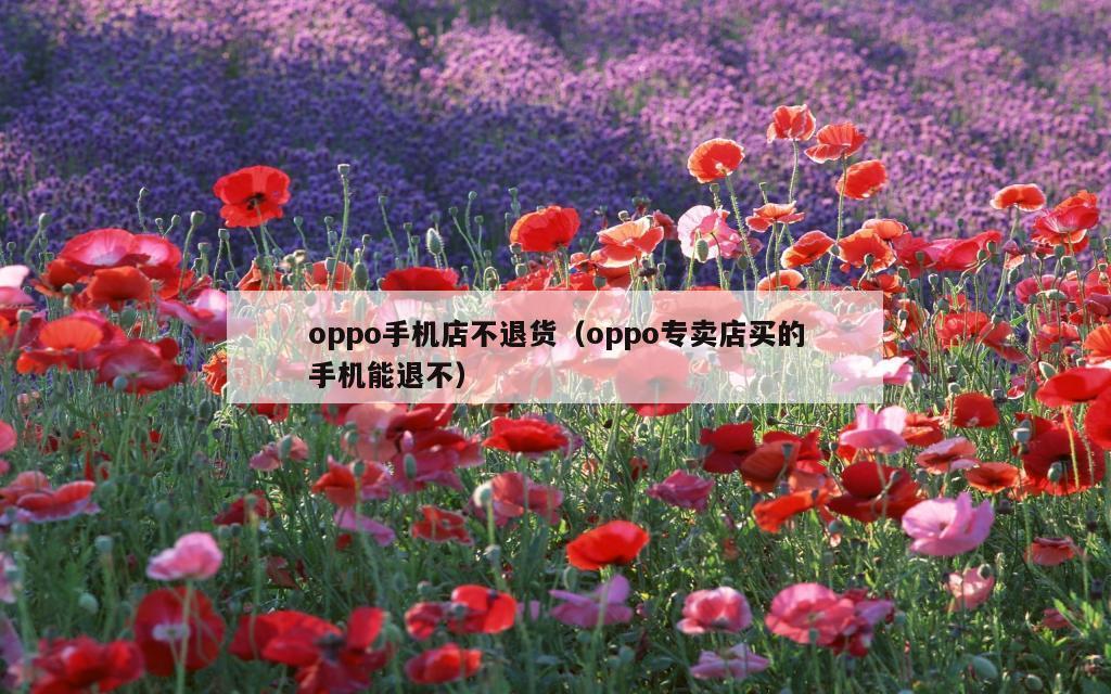 oppo手机店不退货（oppo专卖店买的手机能退不）