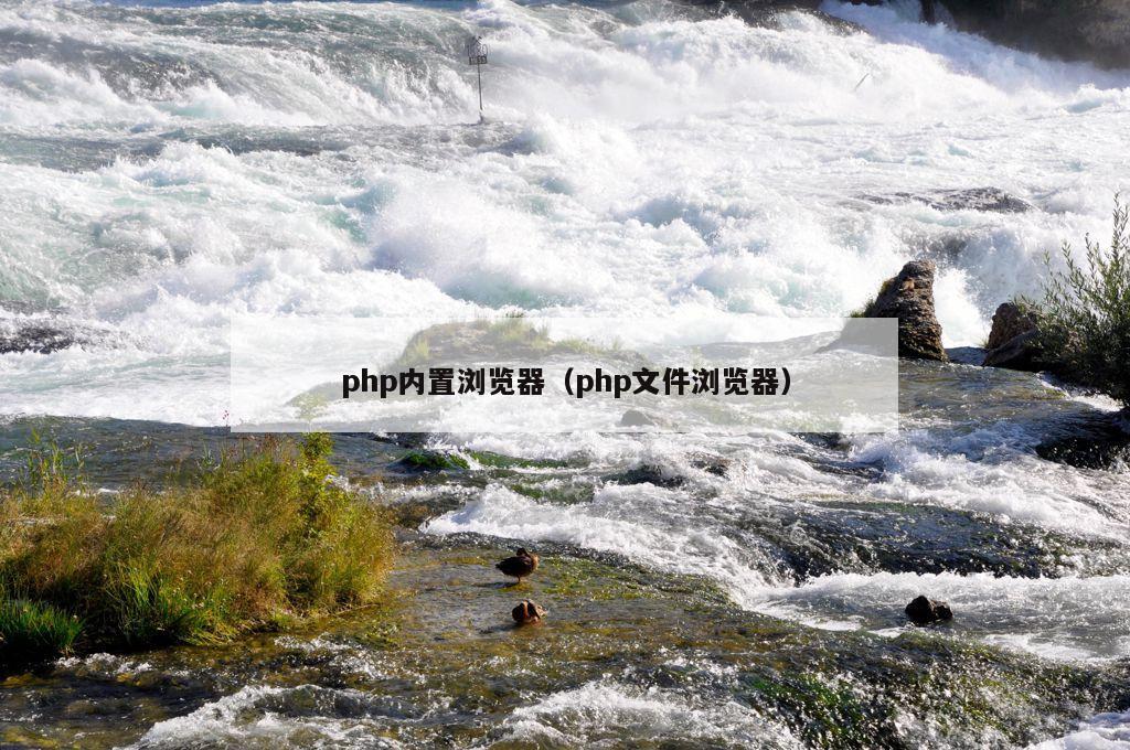 php内置浏览器（php文件浏览器）