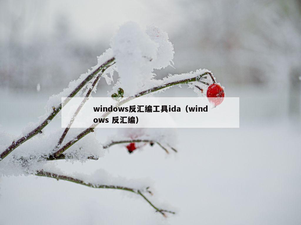 windows反汇编工具ida（windows 反汇编）