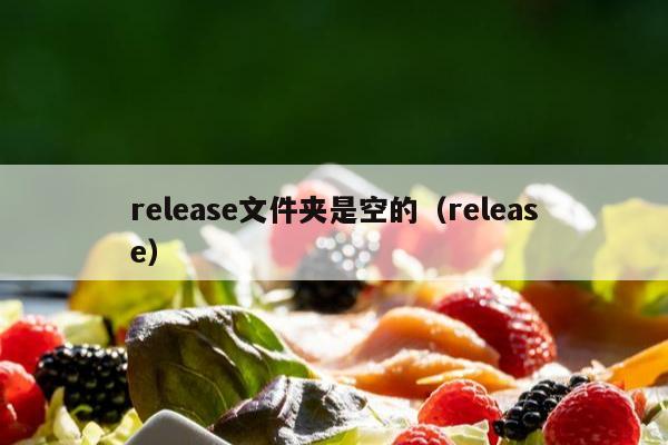 release文件夹是空的（release）