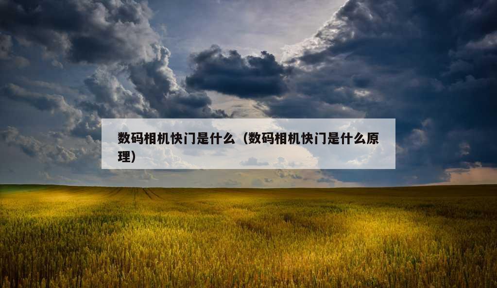 数码相机快门是什么（数码相机快门是什么原理）