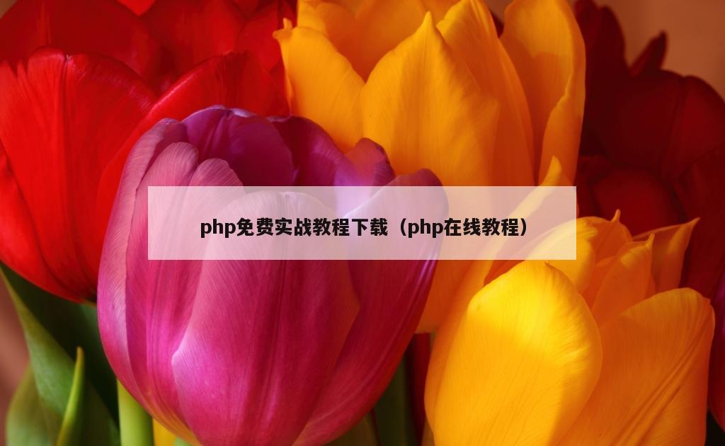 php免费实战教程下载（php在线教程）