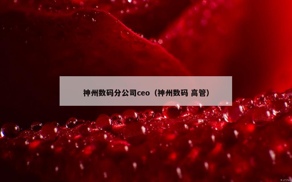 神州数码分公司ceo（神州数码 高管）