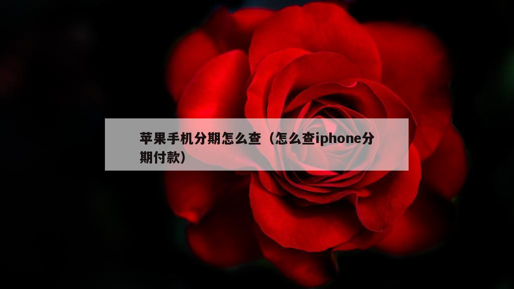 苹果手机分期怎么查（怎么查iphone分期付款）