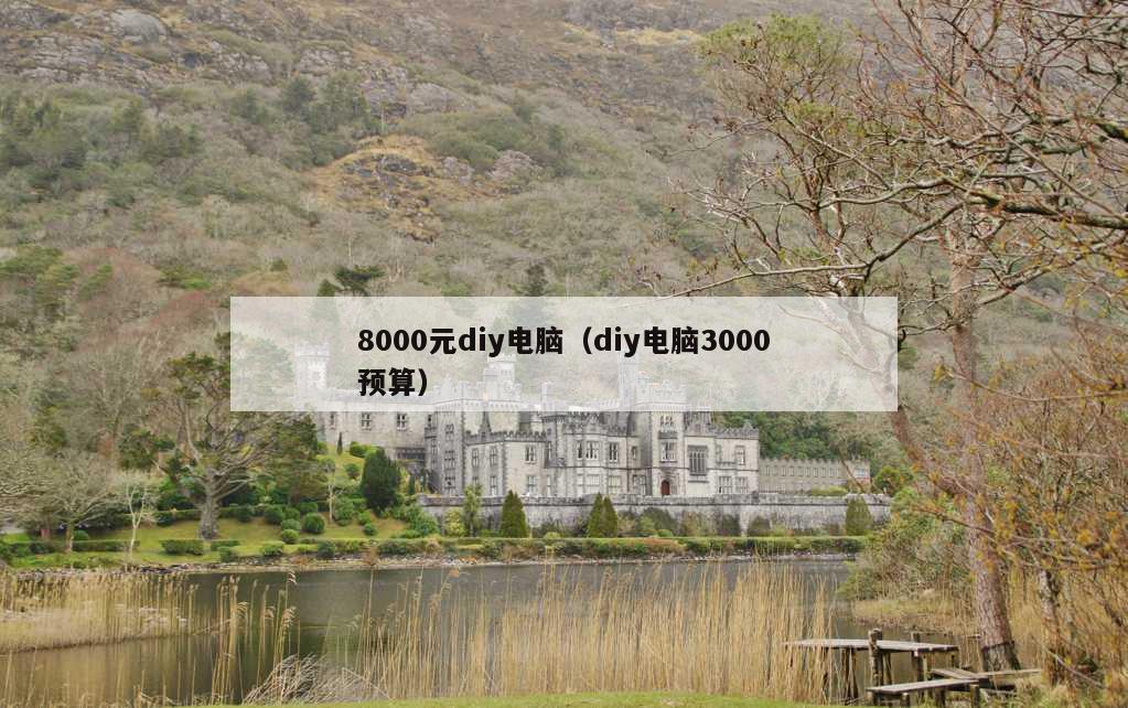 8000元diy电脑（diy电脑3000预算）