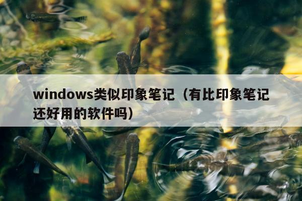 windows类似印象笔记（有比印象笔记还好用的软件吗）