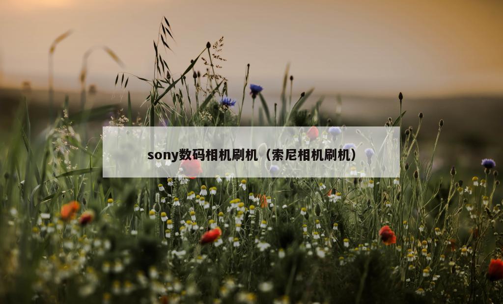 sony数码相机刷机（索尼相机刷机）