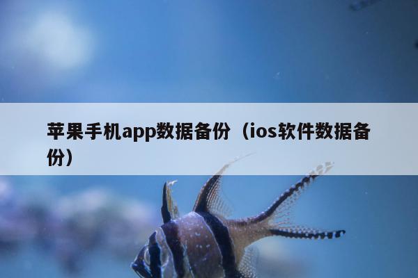 苹果手机app数据备份（ios软件数据备份）