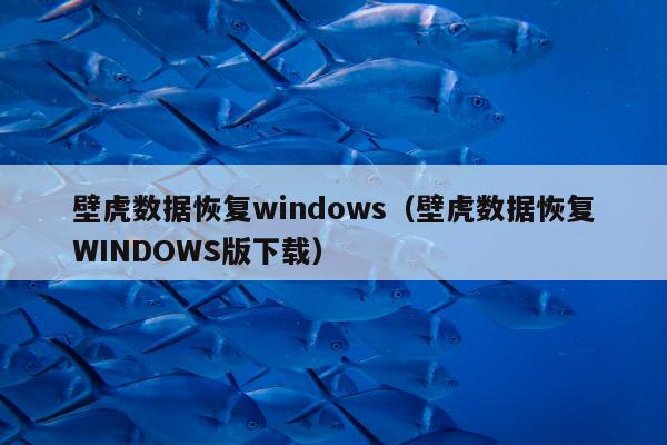 壁虎数据恢复windows（壁虎数据恢复WINDOWS版下载）