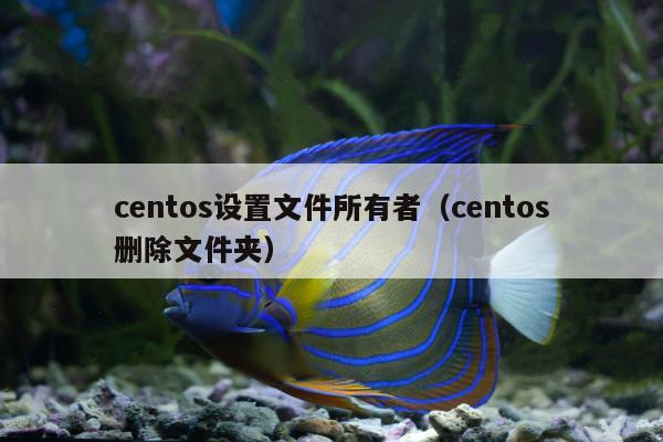 centos设置文件所有者（centos删除文件夹）