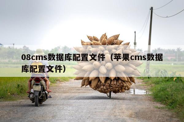 08cms数据库配置文件（苹果cms数据库配置文件）