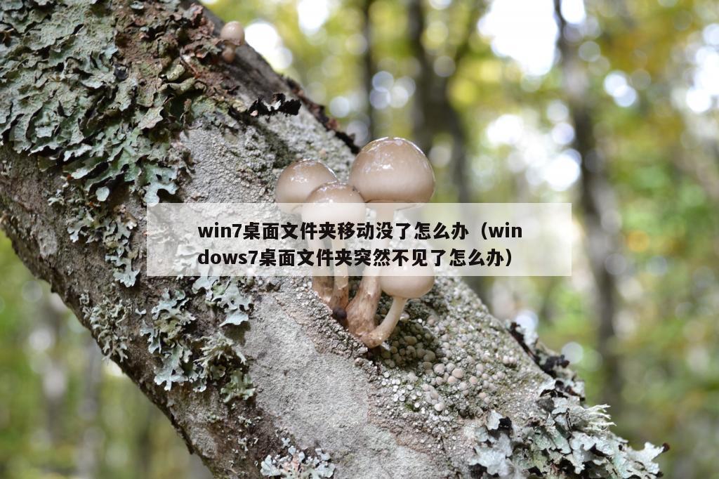 win7桌面文件夹移动没了怎么办（windows7桌面文件夹突然不见了怎么办）