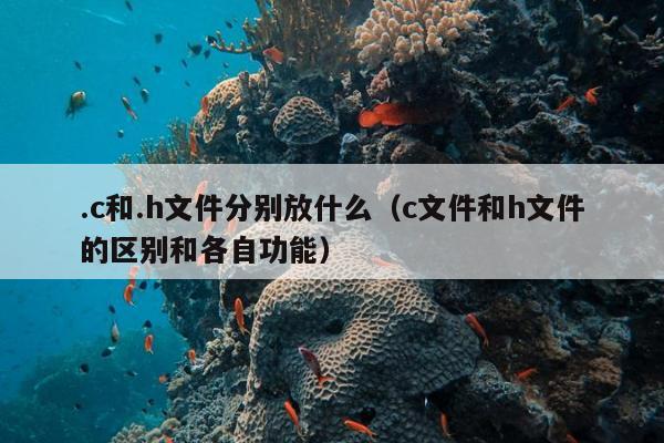 .c和.h文件分别放什么（c文件和h文件的区别和各自功能）