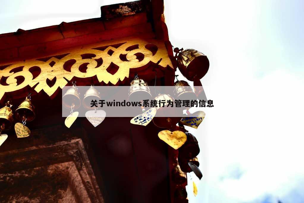 关于windows系统行为管理的信息