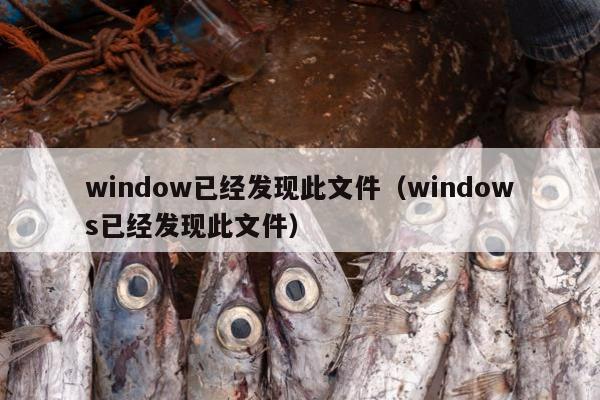 window已经发现此文件（windows已经发现此文件）