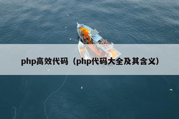 php高效代码（php代码大全及其含义）