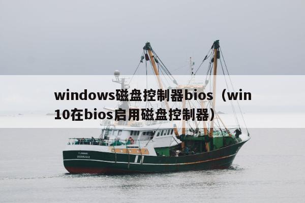 windows磁盘控制器bios（win10在bios启用磁盘控制器）