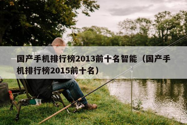 国产手机排行榜2013前十名智能（国产手机排行榜2015前十名）