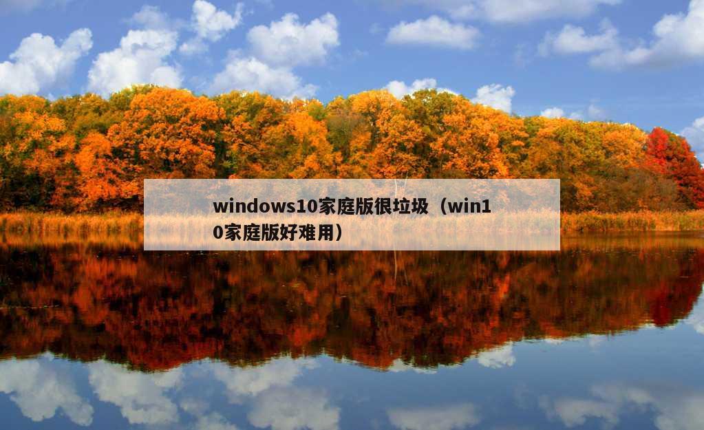 windows10家庭版很垃圾（win10家庭版好难用）